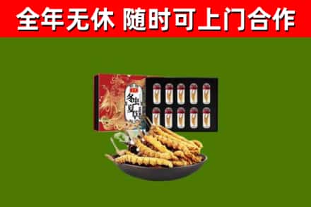 鄂城区烟酒回收冬虫夏草礼盒.jpg