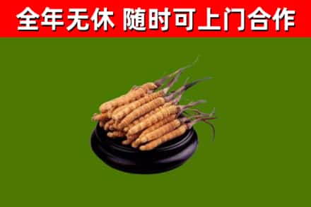 鄂城区烟酒回收冬虫夏草.jpg